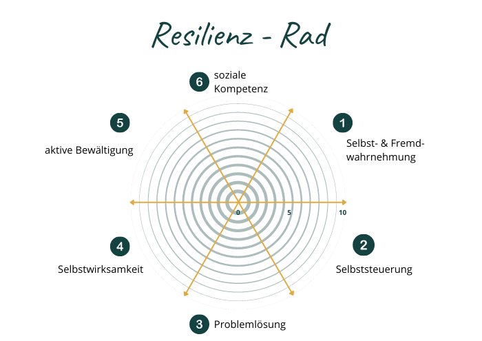 Die 6 Faktoren der Resilienz (Übung Resilienz-Rad)