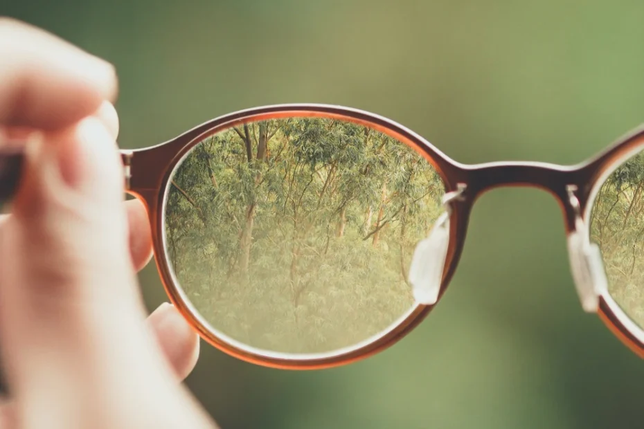 Man sieht den Blick durch eine Brille, die ein Mensch ca. 40 cm vor sich hält. Das ist eine Matapher dafür, dass Glaubenssätze und Denkmuster unsere Wahrnehmung wie eine Brille beeinflussen.